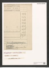 Synedra sp. (de-Toni-Nr.: Genus 66) Zeichnungen Sammlung Grunow (NHMW-BOT-W0373514)